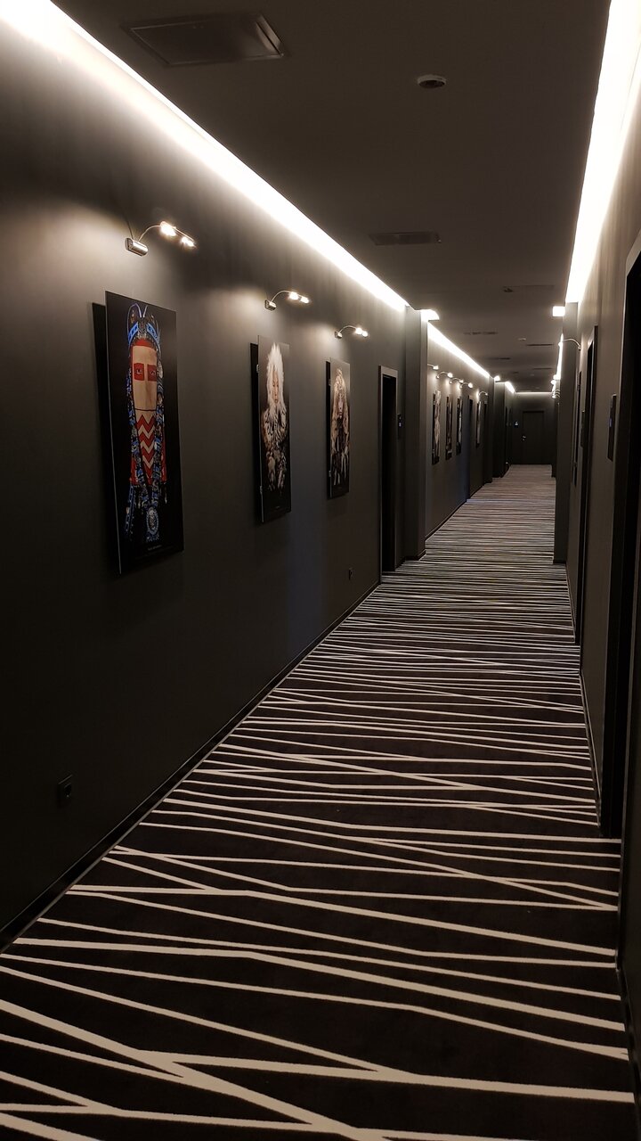 Гостиница Стерх Якутск-29